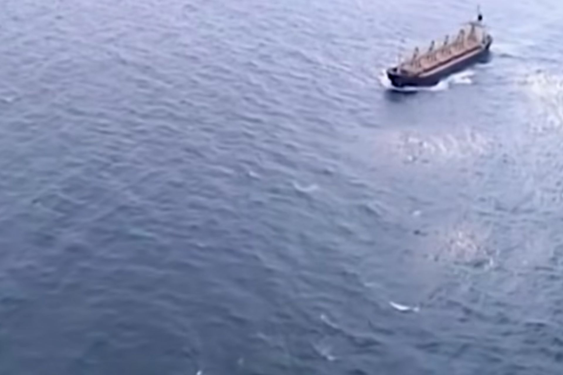 Iran Jamin Kapal India Aman Lewati Selat Hormuz di Tengah Konflik dengan AS dan Israel